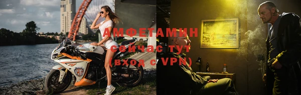 сатива Магас