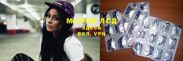 сатива Магас