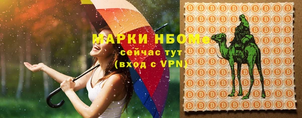 сатива Магас