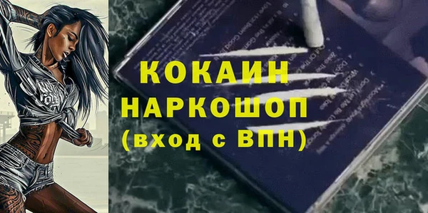 сатива Магас