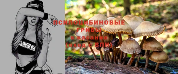 сатива Магас