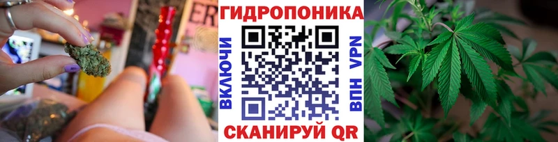 цена наркотик Гдов Каннабис ГИДРОПОН